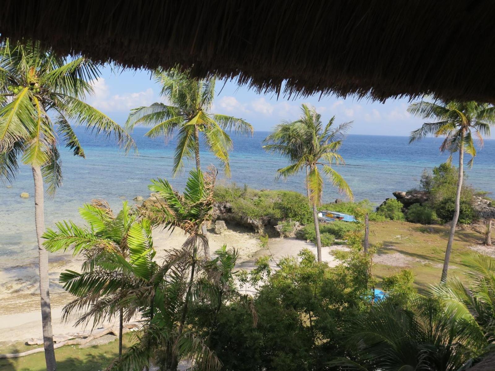 The Wild Orchid Resort - Moalboal Ngoại thất bức ảnh