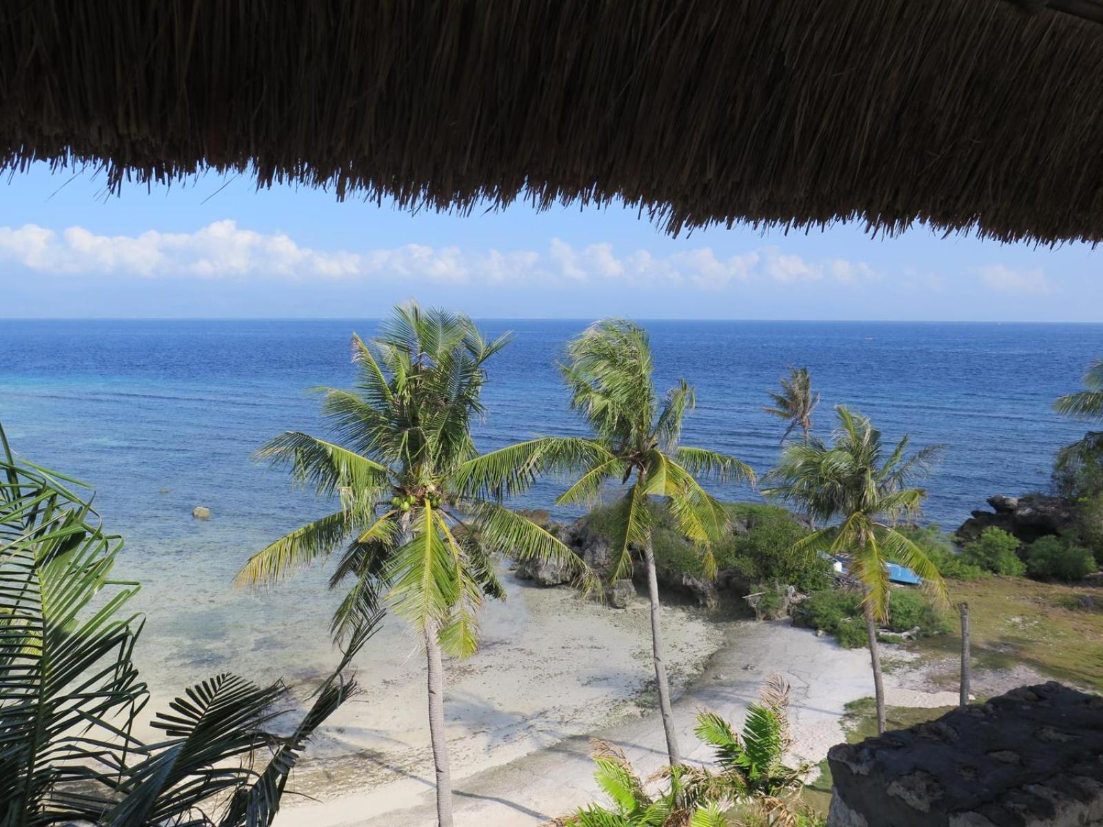 The Wild Orchid Resort - Moalboal Ngoại thất bức ảnh