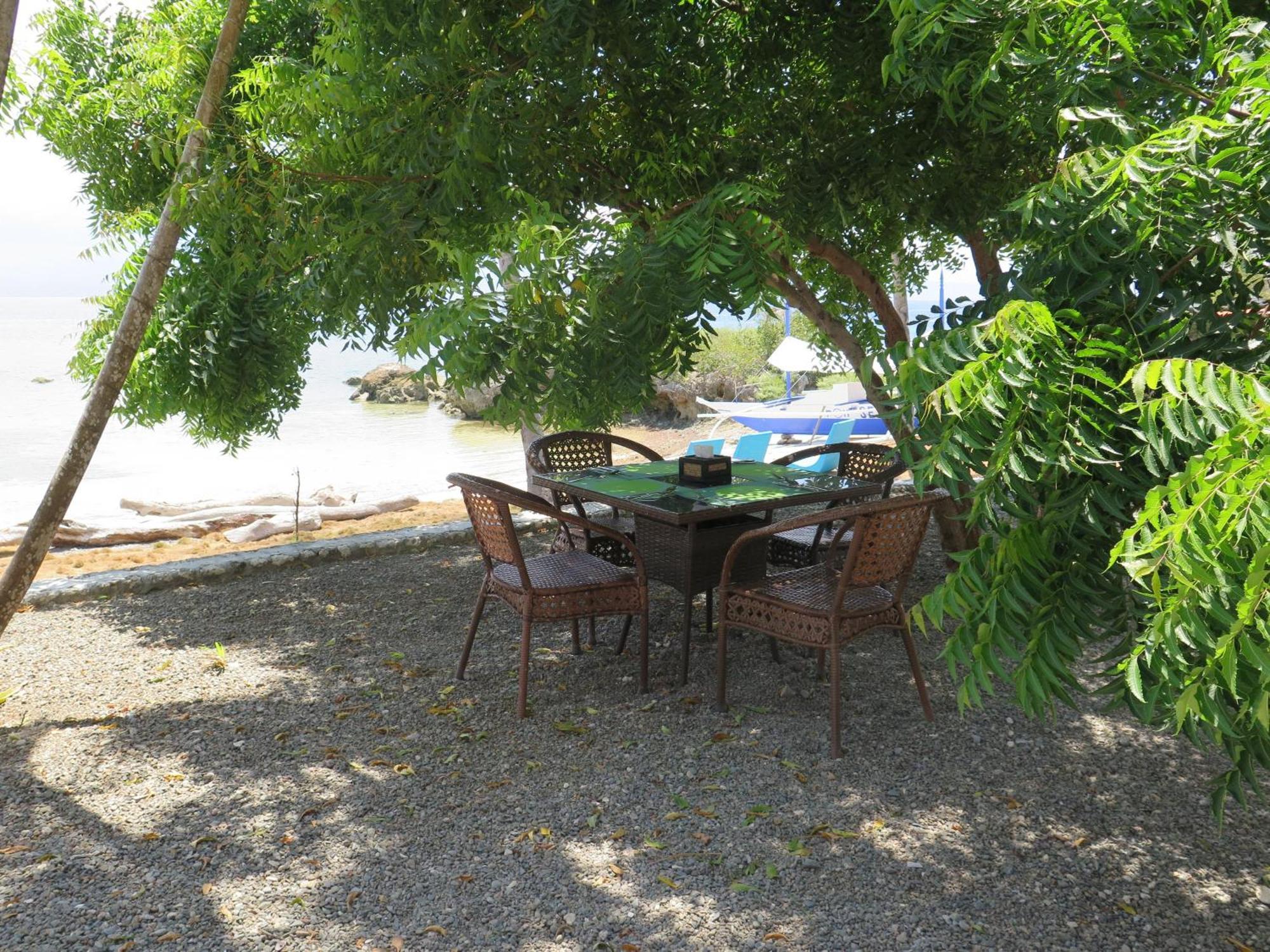 The Wild Orchid Resort - Moalboal Ngoại thất bức ảnh