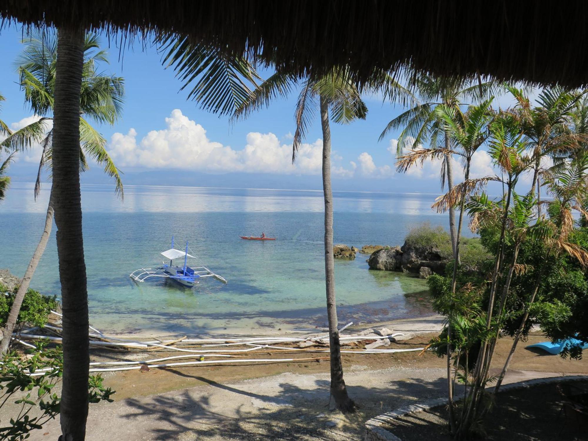 The Wild Orchid Resort - Moalboal Ngoại thất bức ảnh