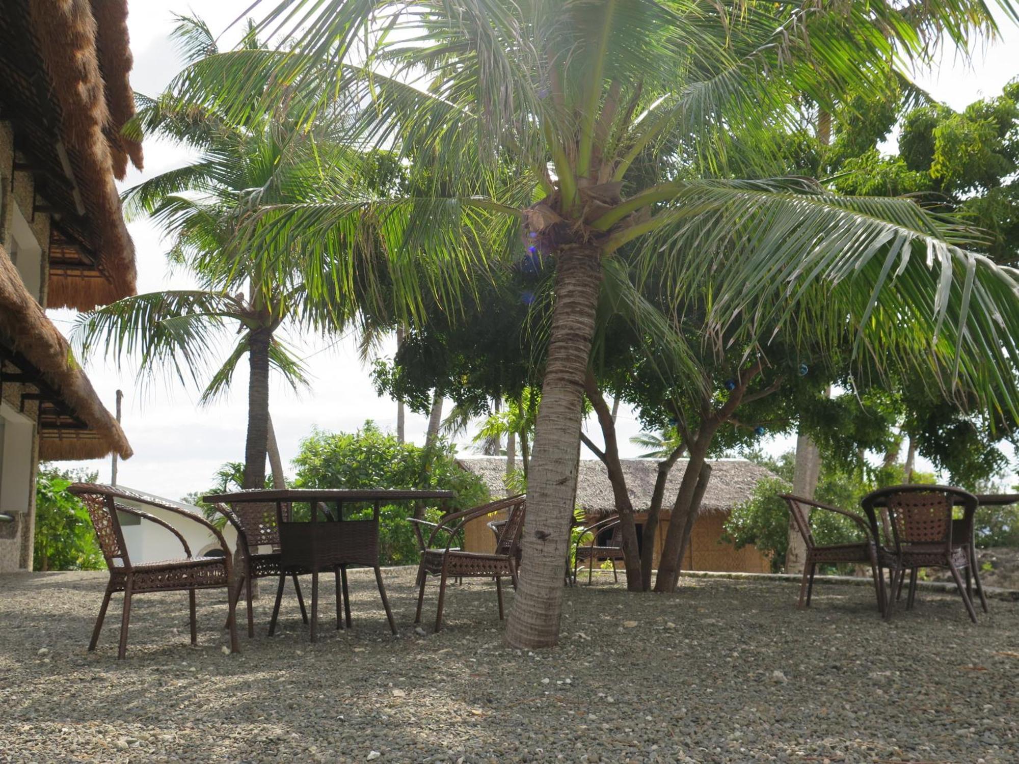 The Wild Orchid Resort - Moalboal Ngoại thất bức ảnh