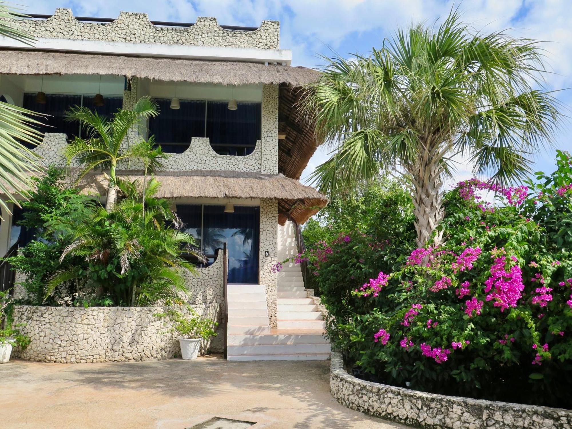 The Wild Orchid Resort - Moalboal Ngoại thất bức ảnh