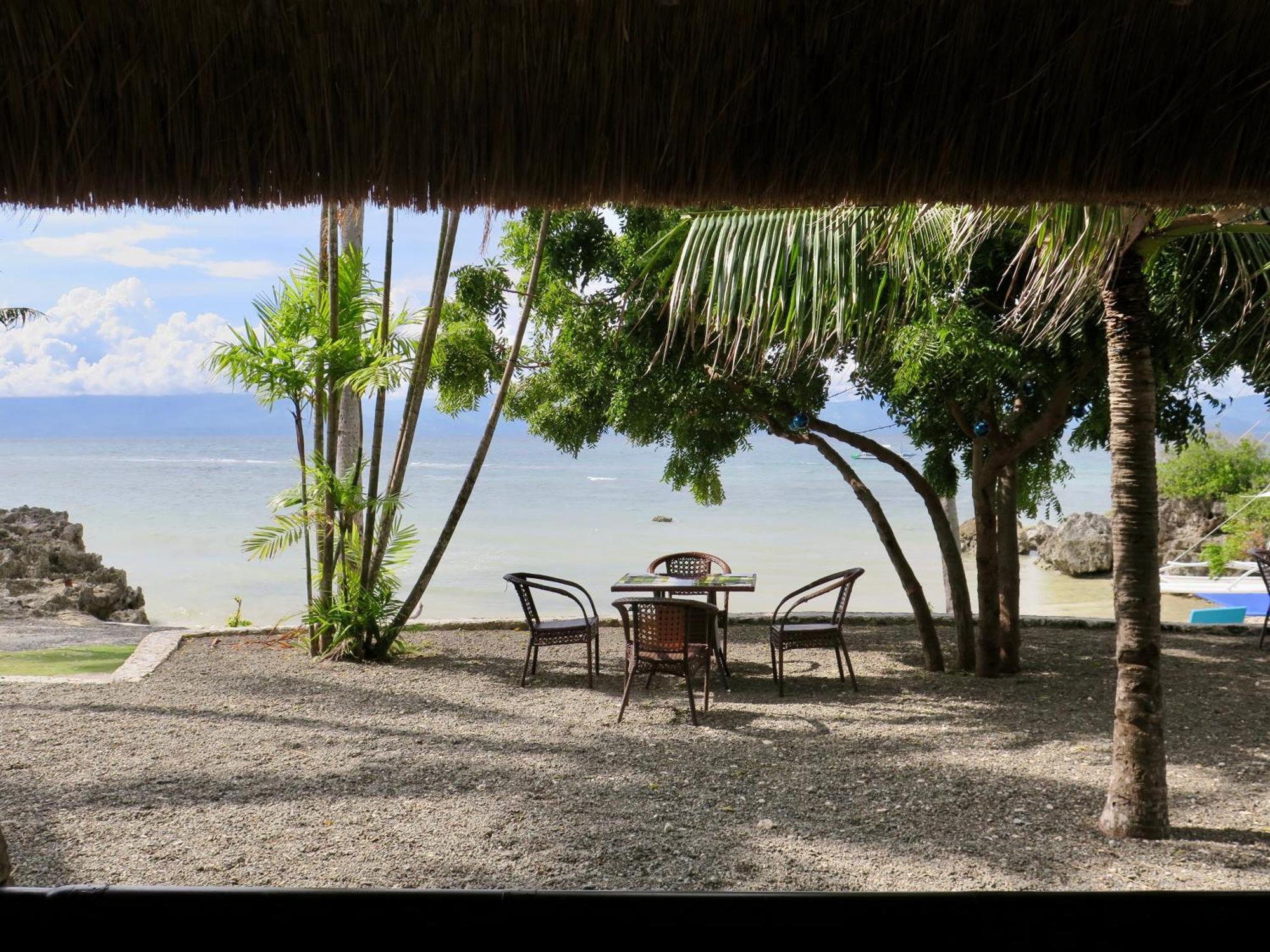 The Wild Orchid Resort - Moalboal Ngoại thất bức ảnh