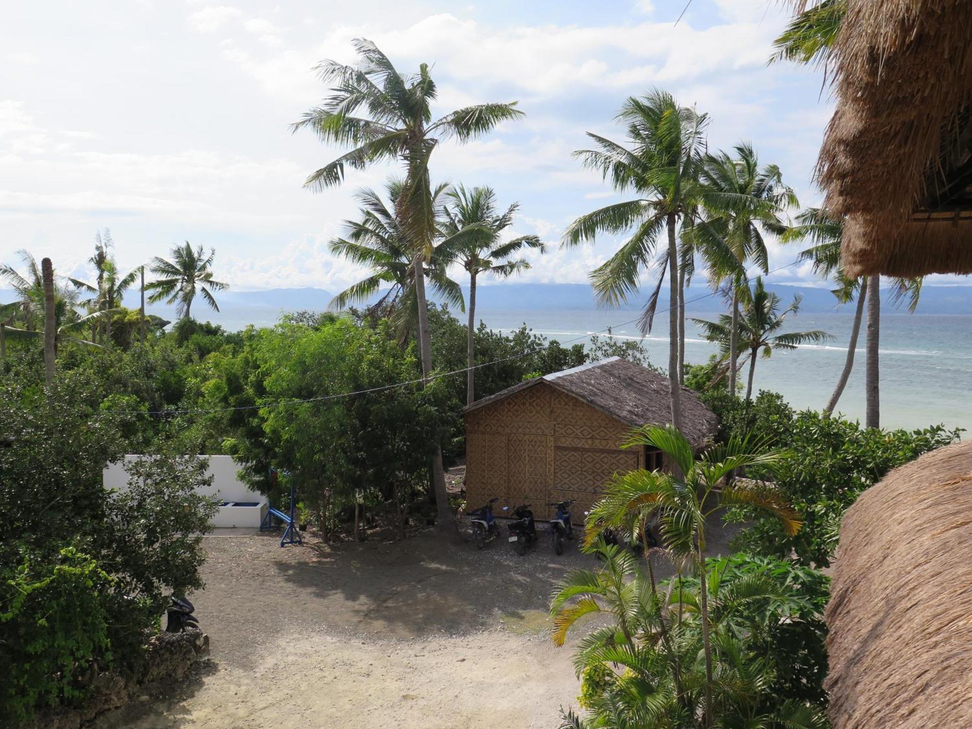 The Wild Orchid Resort - Moalboal Ngoại thất bức ảnh
