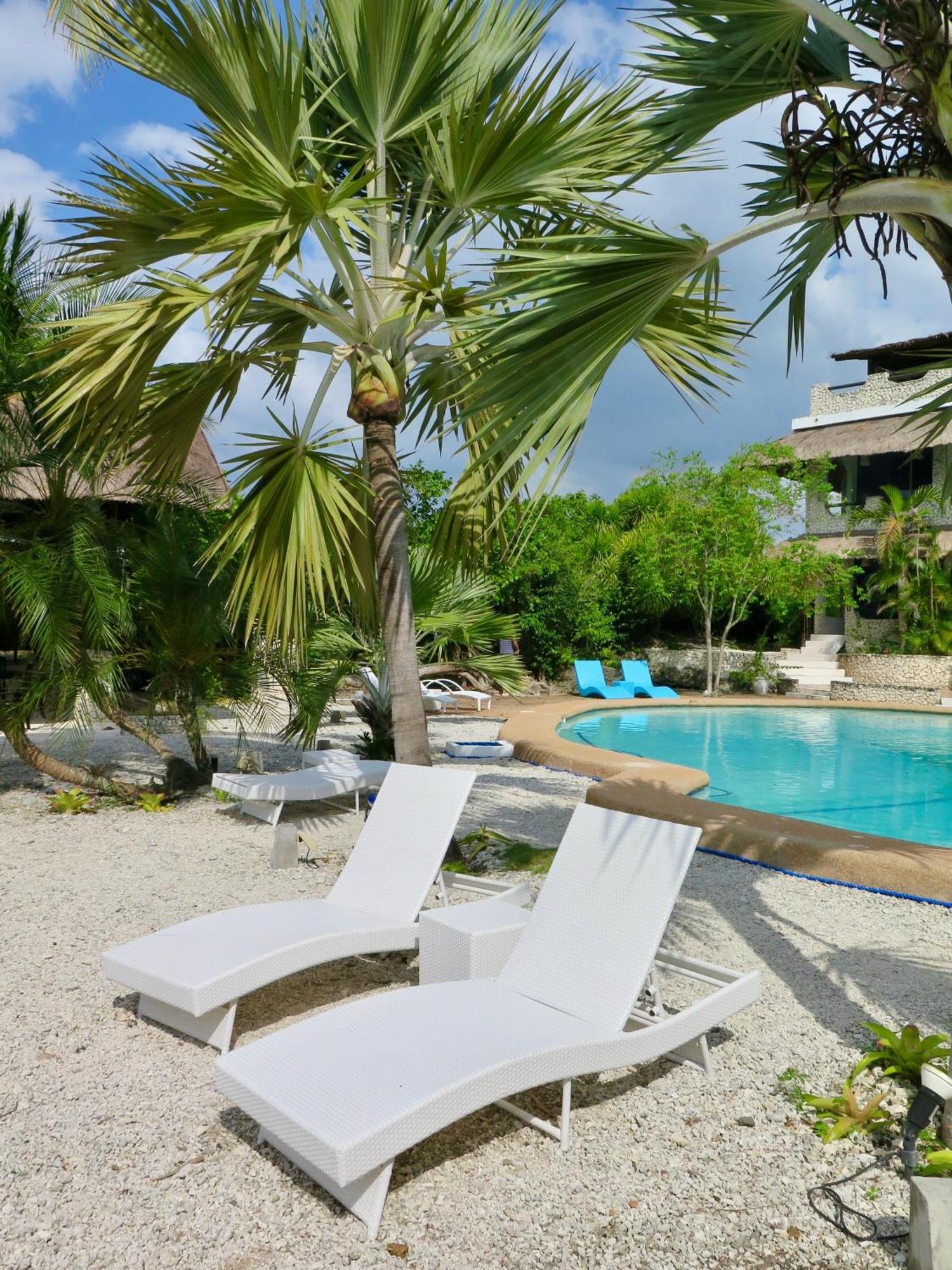 The Wild Orchid Resort - Moalboal Ngoại thất bức ảnh