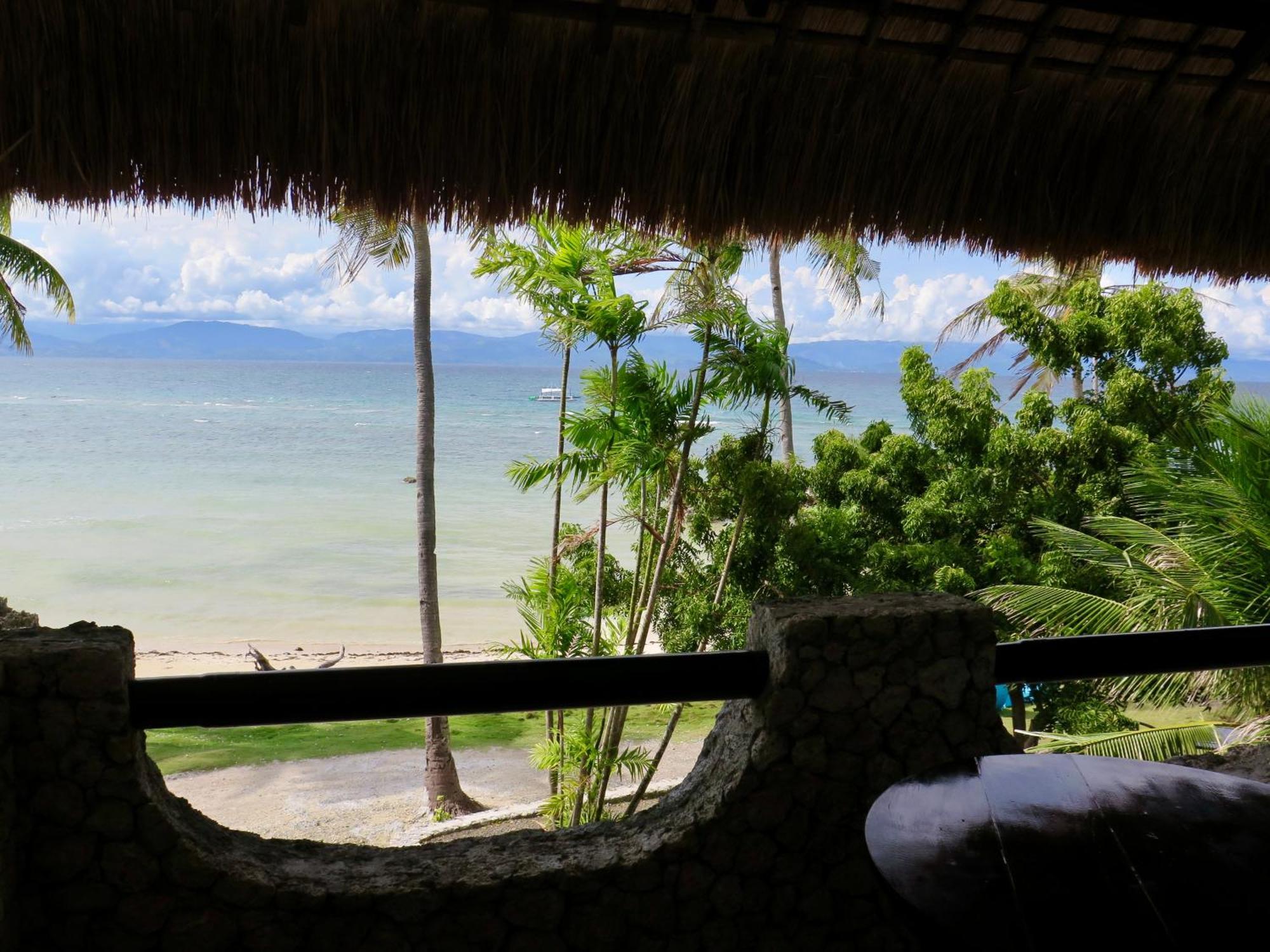 The Wild Orchid Resort - Moalboal Ngoại thất bức ảnh